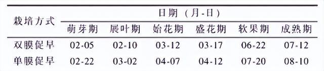 羊粪和蘑菇泥基质栽培，对阳光玫瑰葡萄的生长及品质有哪些影响？