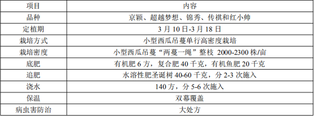 小型西瓜双蔓整枝高密度栽培技术