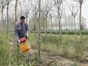 苗木种植机械(1分钟1棵树济宁这款微型移树机获国家发明专利)