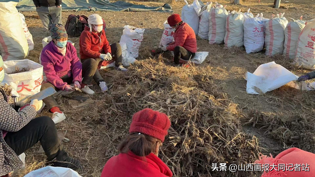 灵丘县柳科乡干部“四项活动”谋振兴促增收暖群众