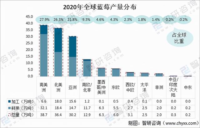 2020年全球蓝莓种植情况分析：中国已成为全球最大的蓝莓种植地