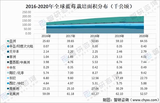 2020年全球蓝莓种植情况分析：中国已成为全球最大的蓝莓种植地