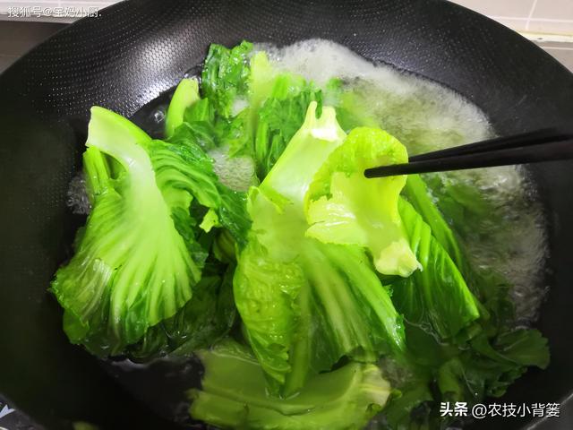 种植速生绿叶蔬菜施肥要谨慎，避免亚硝酸盐含量过高危害饮食安全