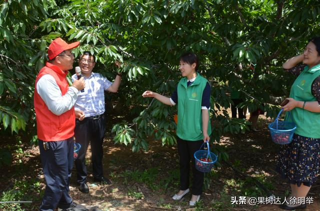  返乡发展果树种植，怎么做才能赚到钱？