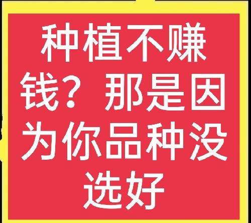 农村种植不赚钱？那是因为你没选对品种，试试这些高收益品种吧