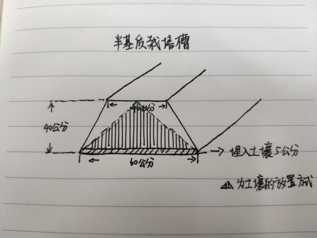 草莓半基质栽培来了！比纯基质省钱！看看栽培槽的做法和基质配方