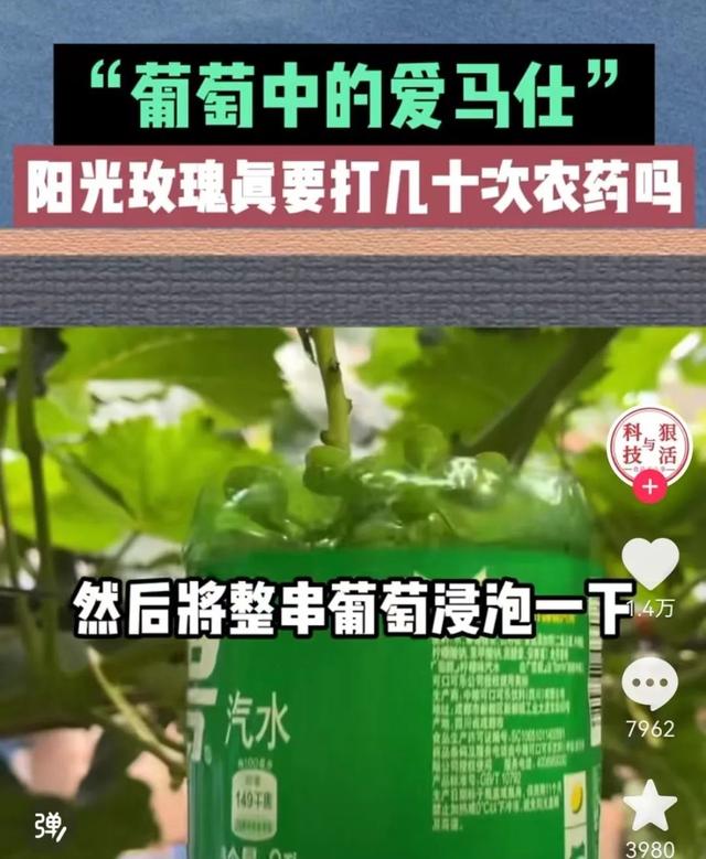 价格大跌！“水果中的爱马仕”在无锡烂大街了？