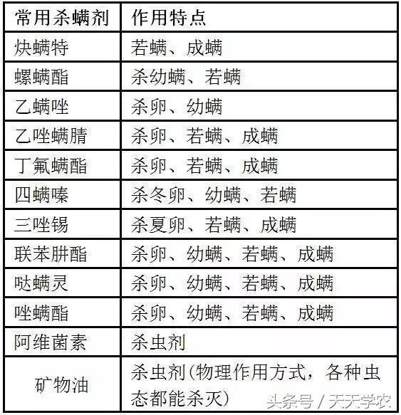 柑橘种不好？果农选址、选品种你抓住重点了吗？