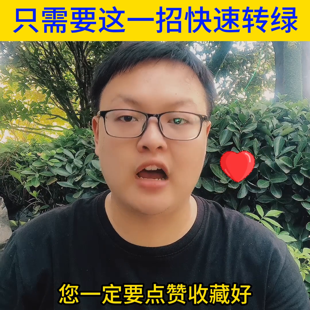 葱姜蒜韭菜，干尖黄叶怎么办？只需要这一招快速解决#农业种植