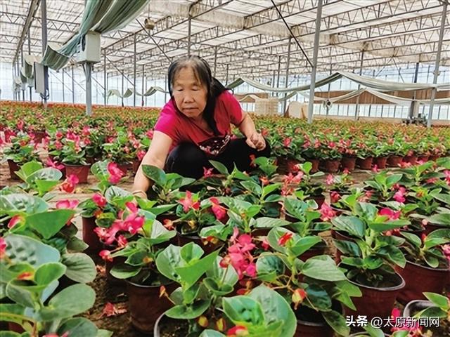 山西省最大花卉集散中心 花卉专业镇以花为媒彰显晋源魅力