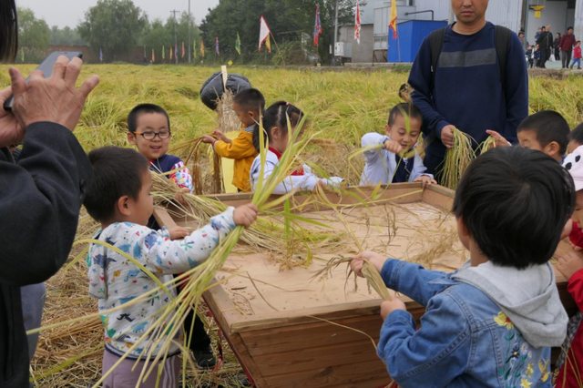 做乡村文旅项目，如果土地是基本农田，又该如何落地项目？