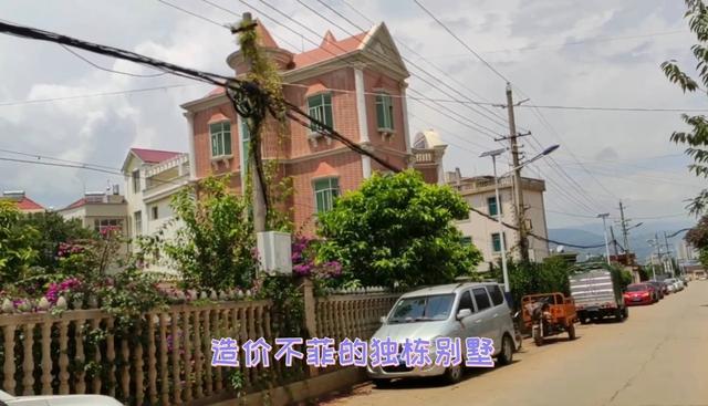 云南山茶花第一村，大理国王族后裔在此种植茶花，被誉为“花王”