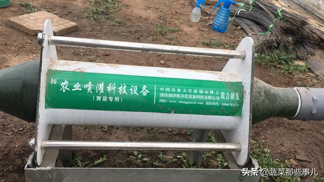 大葱种植用工少、效率高！看安丘大葱如何实现全程机械化生产