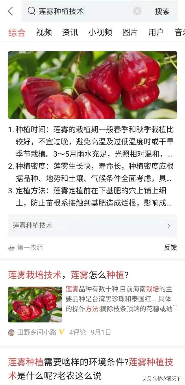 莲雾价格产量都很高，但是不能盲目发展种植，了解透彻再做决定