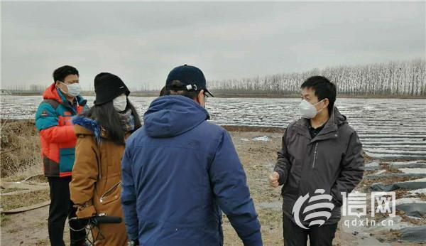 青岛有个蔬菜生产服务群 帮种植户解决农技问题