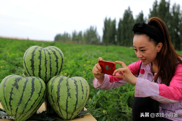 无籽水果真是转基因或抹避孕药种出来的吗？看完这篇文章全明白！