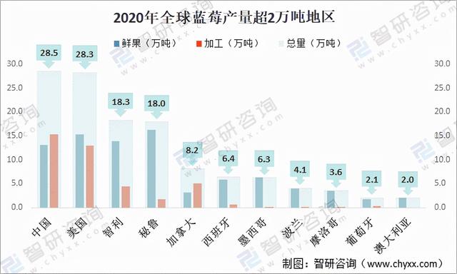 2020年全球蓝莓种植情况分析：中国已成为全球最大的蓝莓种植地