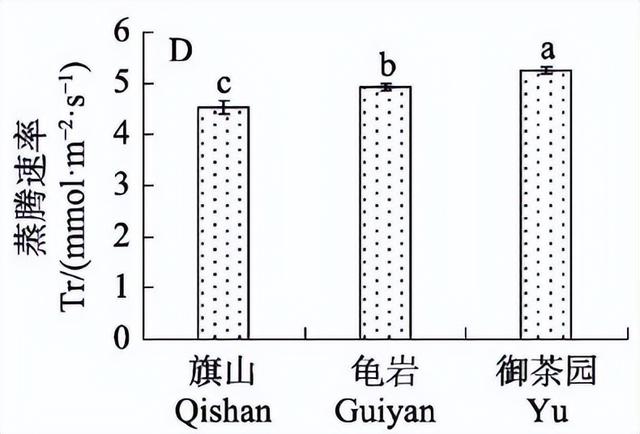 羊粪和蘑菇泥基质栽培，对阳光玫瑰葡萄的生长及品质有哪些影响？