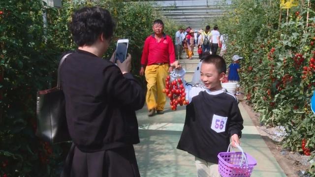 发展生态种养殖产业护洱海，大理市民生态园里采摘乐