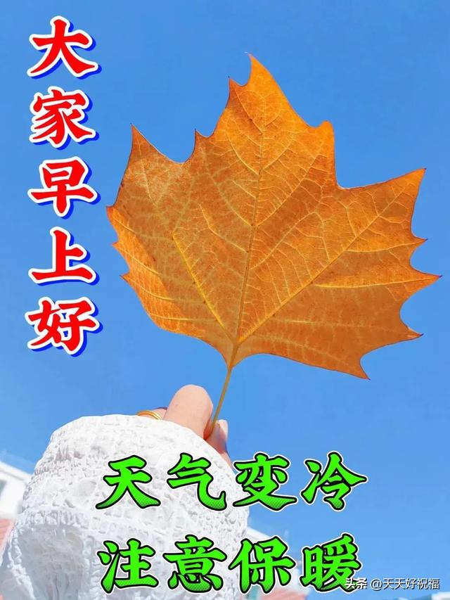 10月28日周六早上好，精选早安创意祝福图片带字表情包问候语大全