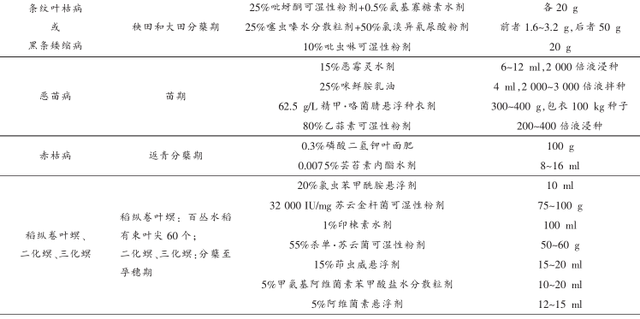 麦茬直播稻高产栽培技术规程