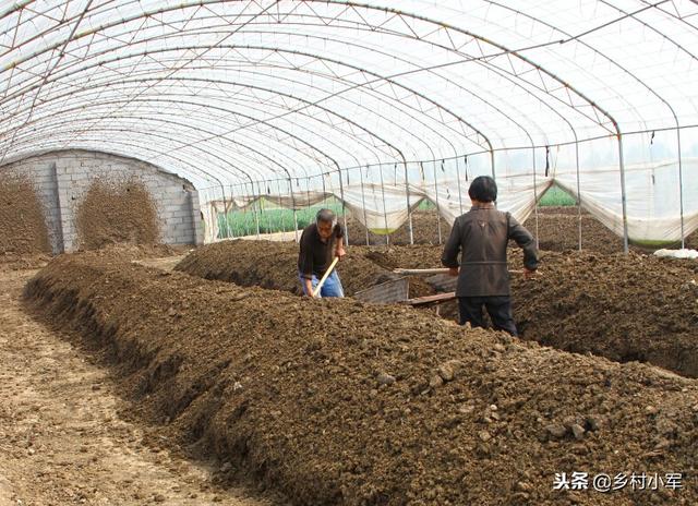 山药种植技术，一定注意几点