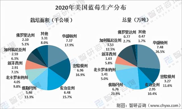 2020年全球蓝莓种植情况分析：中国已成为全球最大的蓝莓种植地