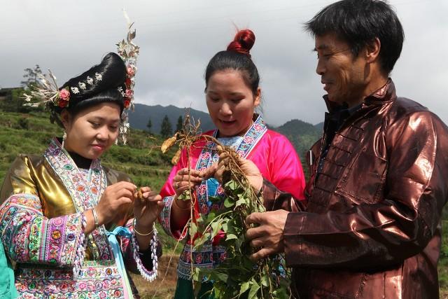 种植中药材前景如何？常见中药材种植技术大分享，建议收藏起来