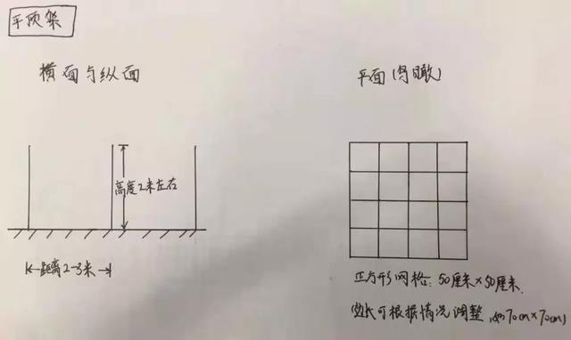 讲全了！百香果怎么种能高产？从选地到采收，贯穿整个种植过程