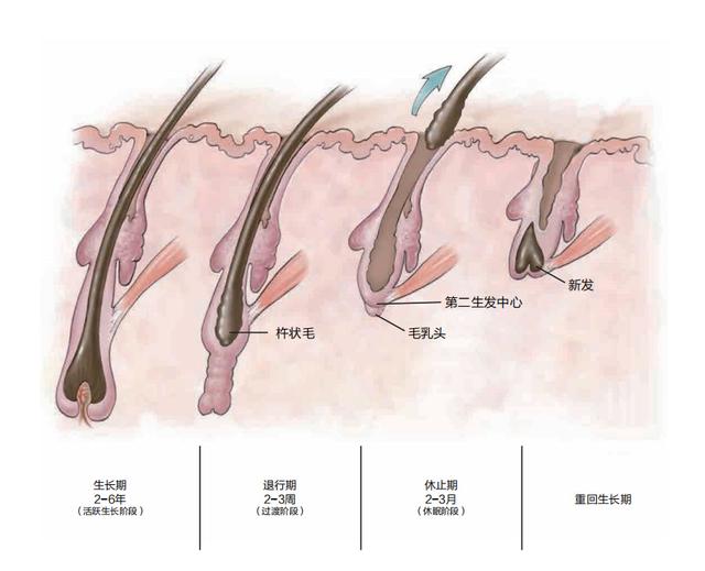 植发术后科学养护攻略