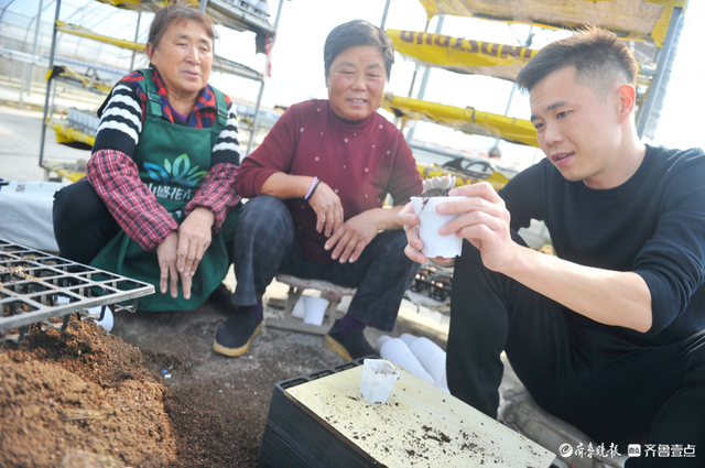 拾光｜90后小伙带村民种“肉肉”，村子成有名的多肉种植基地