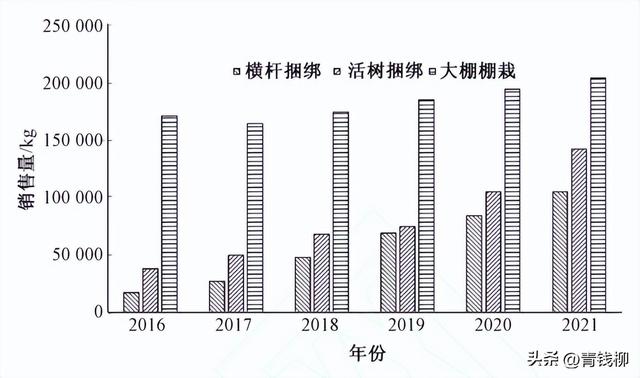 铁皮石斛仿野生林下种植新模式的优势