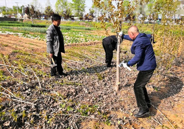 中国推出新政策：严格耕地占补平衡管理，农村发展迎来新机遇