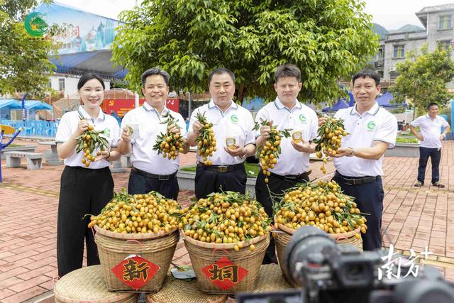 @吃货们 心心念念的这口“新垌鸡心黄皮”酸甜来袭！