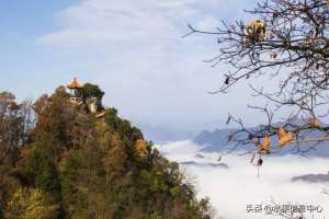 中国苹果种植基地(中国最大的水果生产基地---陕西水果地图)