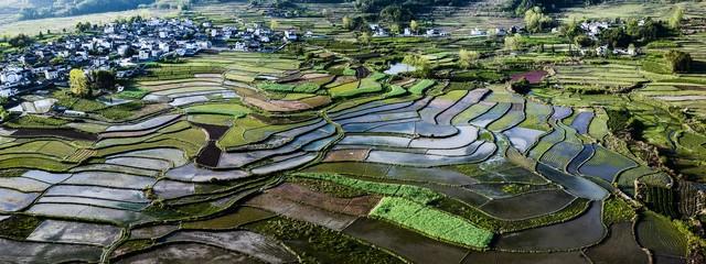 中国推出新政策：严格耕地占补平衡管理，农村发展迎来新机遇