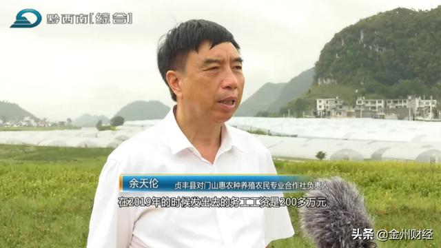 「千企帮千村」贞丰对门山村：种植巴西菇助农增收