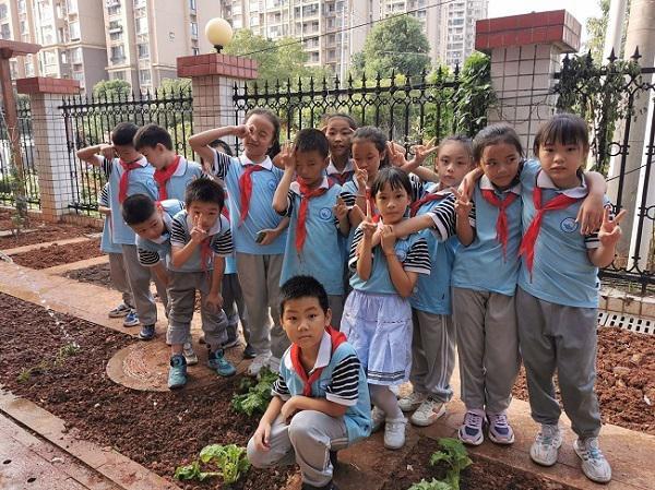 【西湖小学】“小浪花”种植园里学劳动