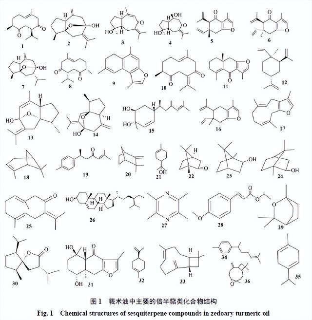 【中药产品】莪术油注射液：化学成分、药理作用和临床应用