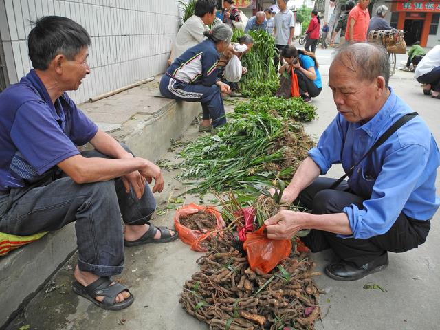 端午将至，对广西恭城瑶乡审时度势布局健康产业的初衷给予点赞