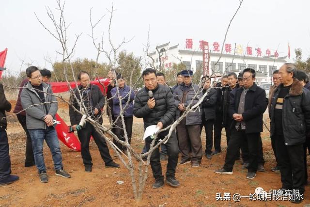 宜阳县2023年春季花椒种植技术培训班开班