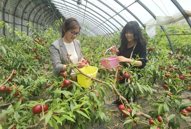 集安市：乡村游走出“特色”路