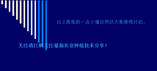 茎椰菜高山反季节定植生产667㎡产量超过1000㎏高产高效怎么栽培