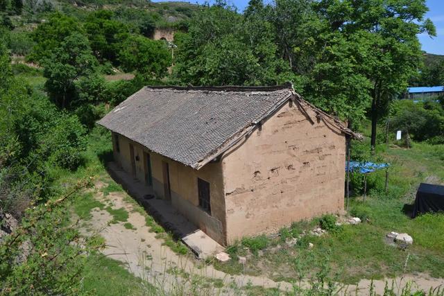 永济虞乡扶窑村：大山深处，山路陡峭，生产高山西红柿