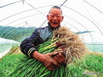 承包土地搞种植怎么样才能做到少而精呢？这样的种植模式值得一试