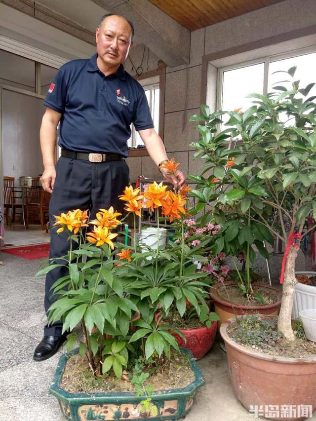 长白山人参扎根崂山！从采药人到种药人，崂山农民15年引种让传说变现实