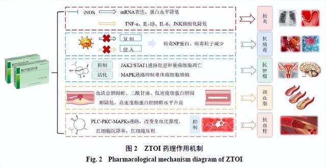 【中药产品】莪术油注射液：化学成分、药理作用和临床应用