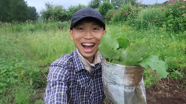 萝卜，真的很好种！播种的萝卜长大了，疏苗移栽～还能采收一些