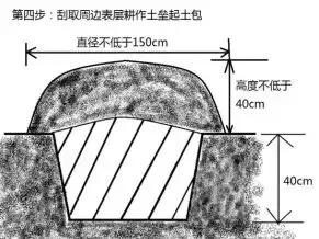 种柑桔，你算过这笔账吗？（投入篇）