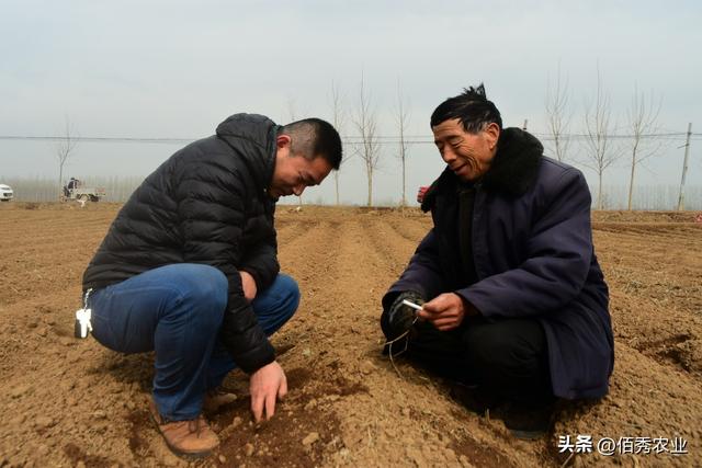 种植大户黯然离开，不具备3个潜质，还是不要轻易进入农业